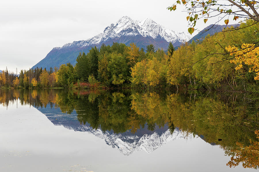 Reflections Lake Alaska In Autumn Photograph