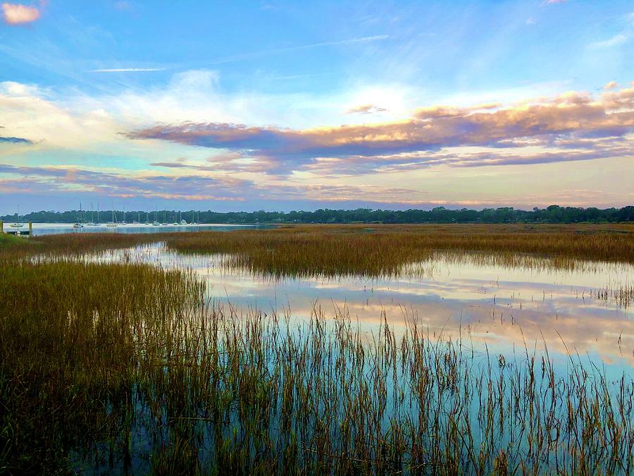 Reflections, Landscape, Marsh Grass Photograph by Michael Stothard Reflections, Landscape, Marsh Grass Photograph by Michael Stothard