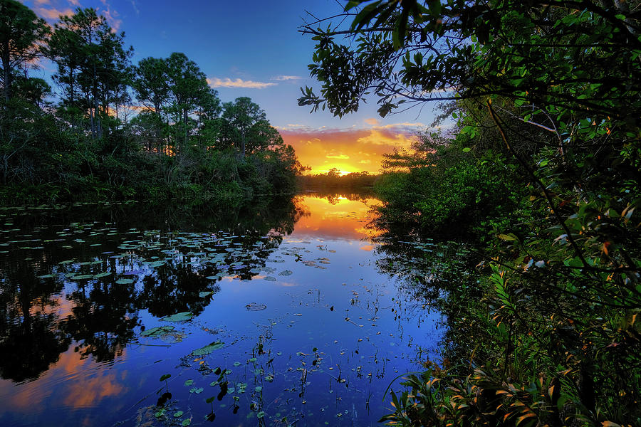 Reflections of a Beautiful Sunset at Abacoa Lake in Jupiter Flor Photograph by Kim Seng