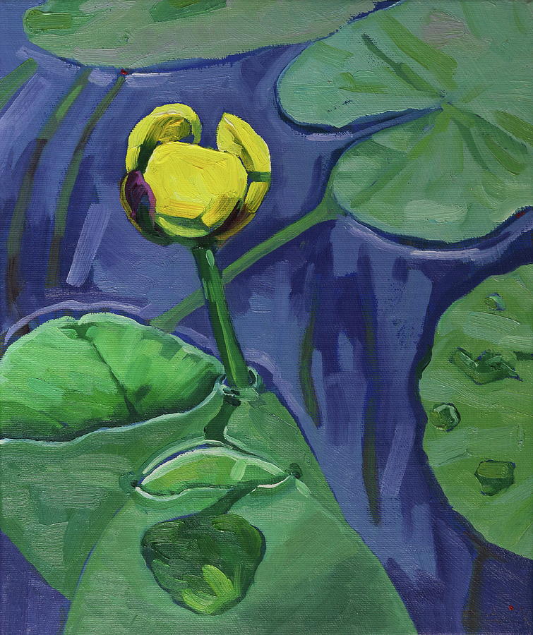 Reflections of a Yellow Water Lily Painting by Phil Chadwick