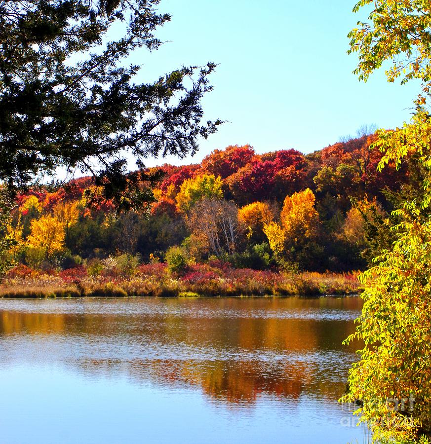 Reflections of Autumn, Minnesota Photograph by Ann Brown - Fine Art America