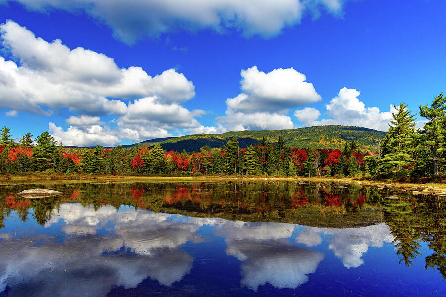 Reflections of Autumn Tranquility Photograph by NorthEast Creativity Reflections of Autumn Tranquility Photograph by NorthEast Creativity
