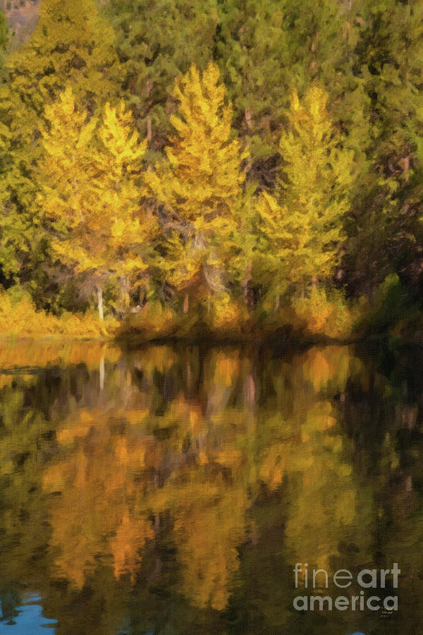 Reflections of Autumn, Trees, Pond,  Mixed Media by David Millenheft
