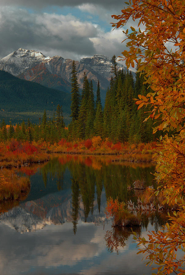 Reflections of Autumn - Vermillion Lakes Photograph by Stephen Vecchiotti