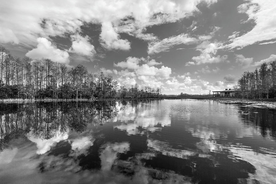 Reflections of Black and White Photograph by Debra and Dave Vanderlaan
