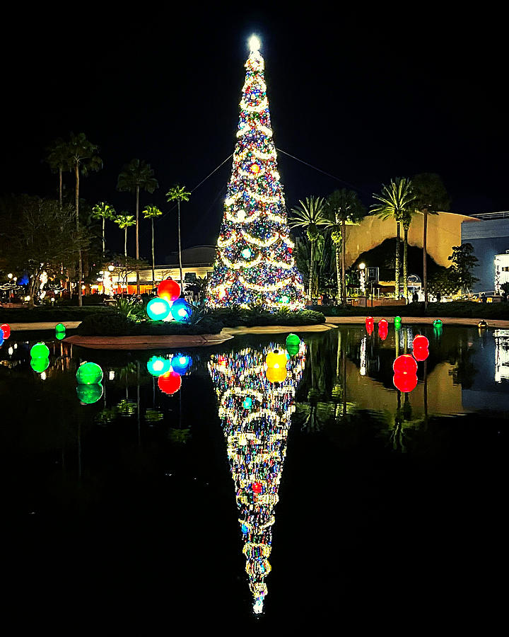 Reflections of Christmas Photograph by Lee Darnell