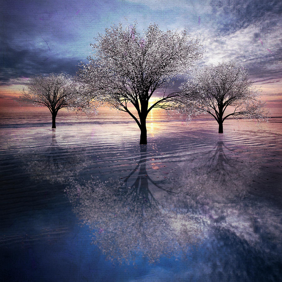 Reflections of Color Lavender Dream Photograph by Debra and Dave Vanderlaan
