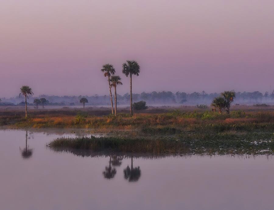Reflections of Dawn in the Florida Wetlands Photograph by Rebecca Herranen Reflections of Dawn in the Florida Wetlands Photograph by Rebecca Herranen