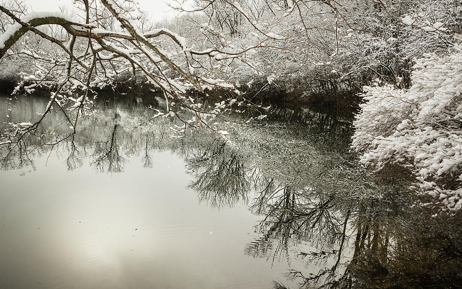 Reflections of early spring snow Photograph by Joni Eskridge