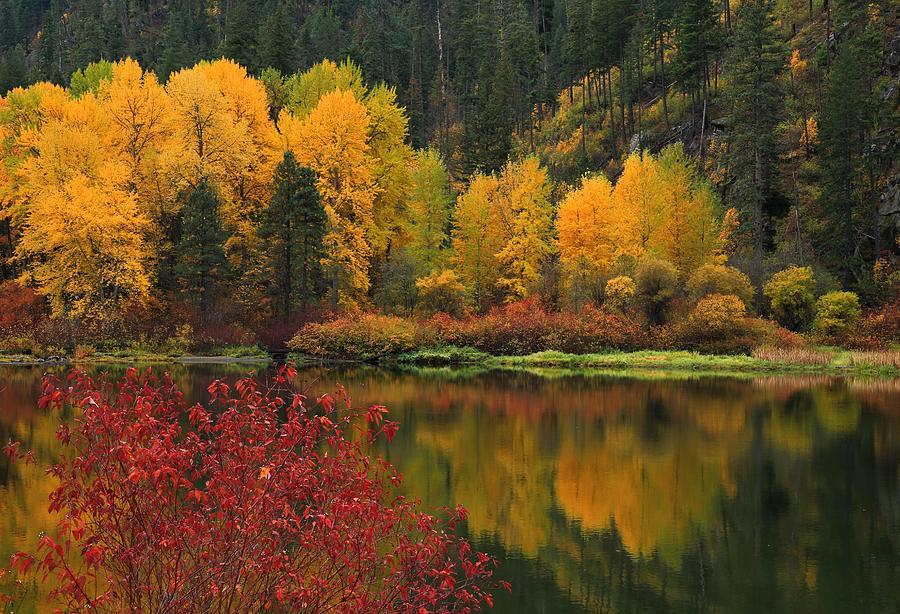 Reflections of fall beauty Photograph by Lynn Hopwood