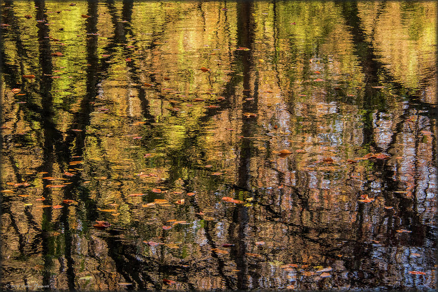 Reflections of Fall Photograph by Erika Fawcett