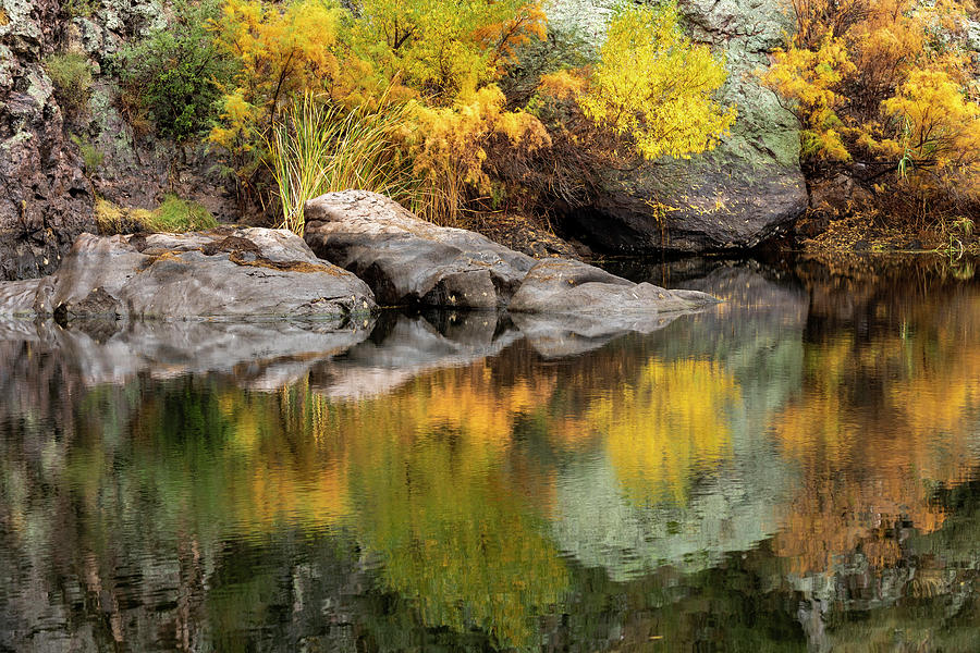 Reflections of Fall Foliage  Photograph by Sue Cullumber