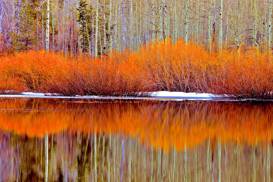 Reflections of Fall Photograph by Geoff McGilvray