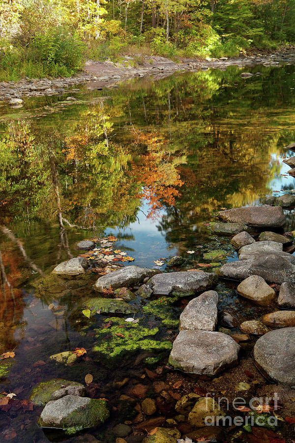 Reflections of Fall Photograph by Nicki McManus