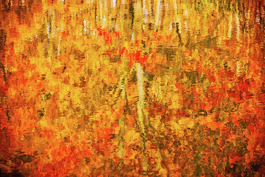 Abstract Photograph - Reflections of Fall by Rick Furmanek