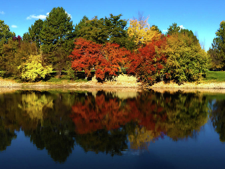Reflections Of Fall Photograph by Shane Bechler