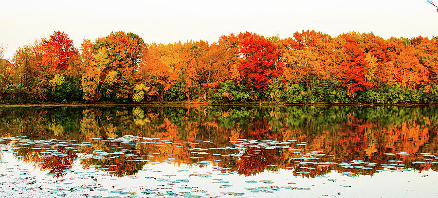 Fall Photograph - Reflections of Fall by Tara Mg Photography