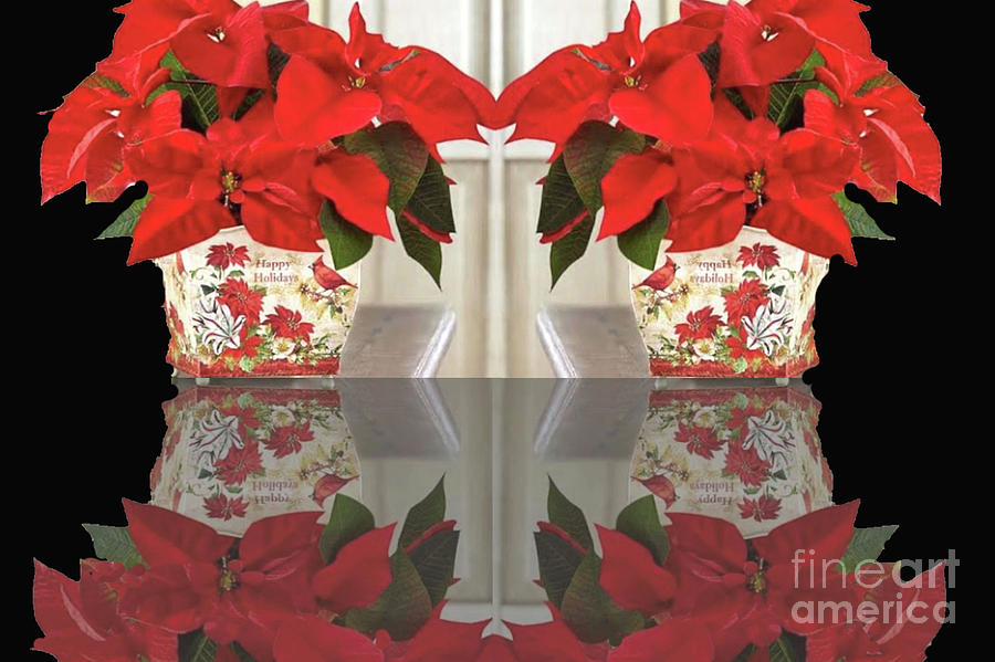 Reflections of Poinsetta Photograph by Janette Boyd
