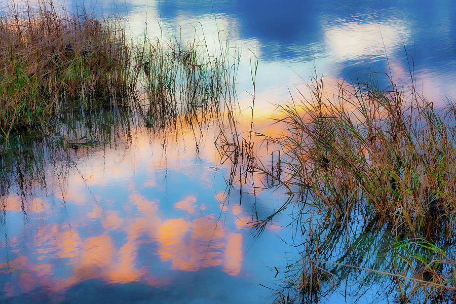 Reflections of Sky and Grass Photograph by Dan Carmichael