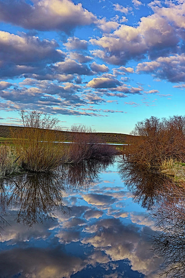 Nature Photograph - Reflections of sky by Marla Steinke
