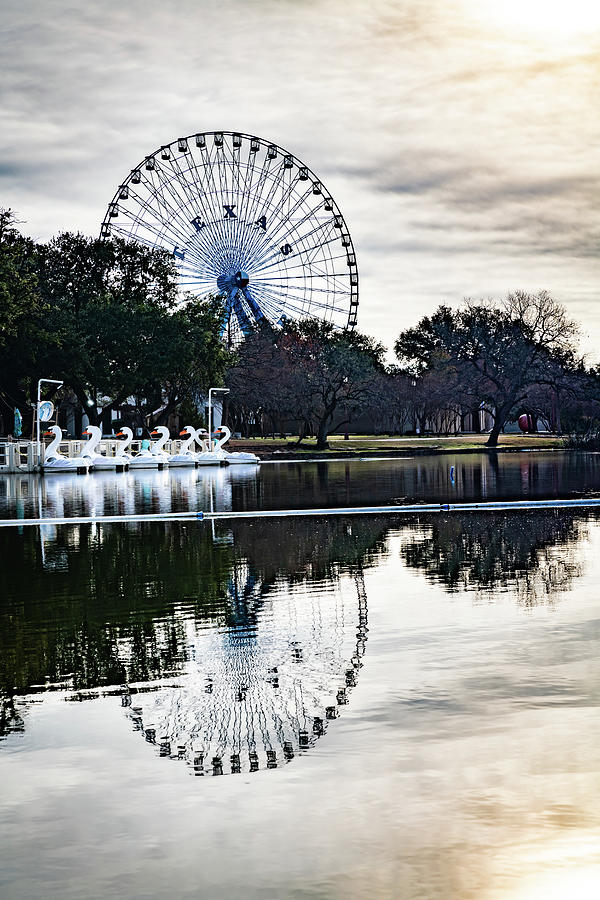 Swan Photograph - Reflections Of The Texas Star - The Dallas Texas Ferris Wheel And Lagoon by Gregory Ballos