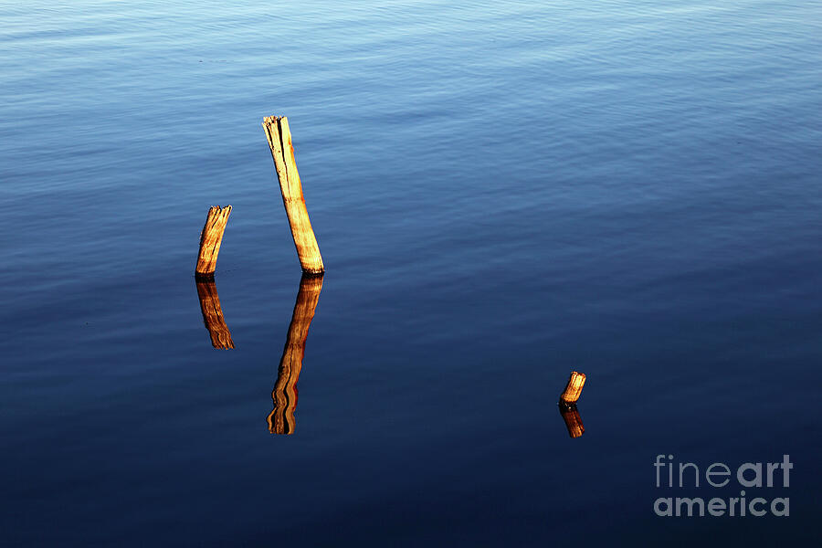 Reflections of wooden posts in blue water Photograph by James Brunker