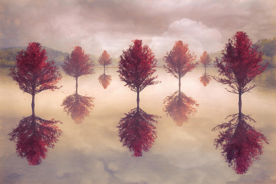 Reflections on a Peaceful Autumn Morning Digital Art by Debra and Dave Vanderlaan