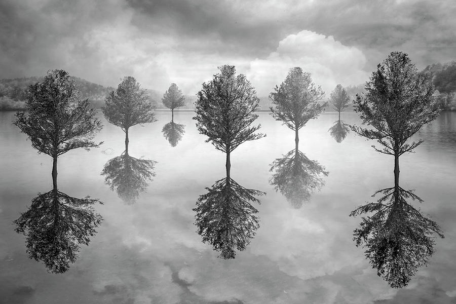 Reflections on a Peaceful Morning in Black and White Photograph by