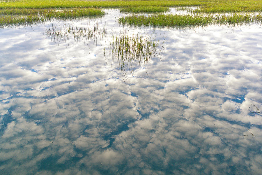 Nature Photograph - Reflections on a Salt Marsh by W Chris Fooshee