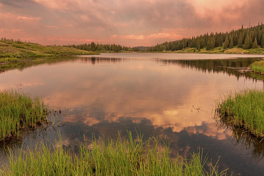 Reflections on Bear Lake Photograph by Lois Lake - Fine Art America