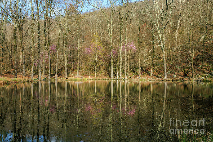 Reflections on Fern Lake Photograph by Scott Pellegrin