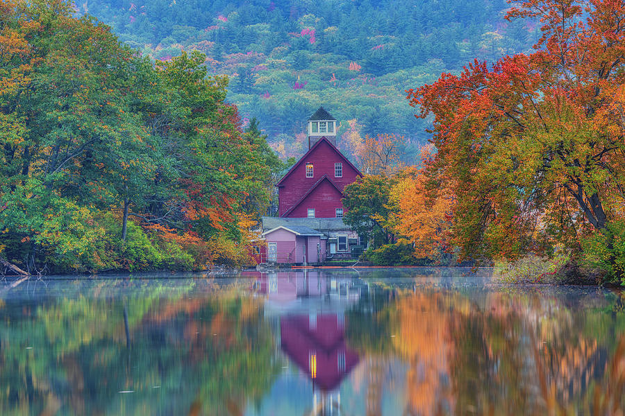 Reflections on Grist Mill Pond Photograph by Penny Polakoff