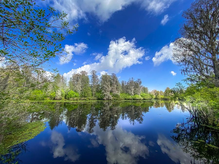 Reflections on Hillsborough River Photograph by Susan Rydberg