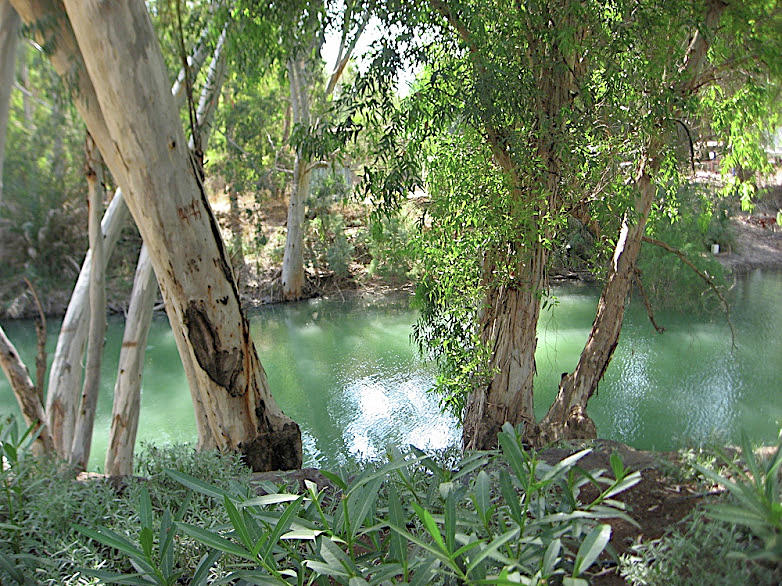 Reflections on the Jordan River Scene #2 Photograph by Susan Grunin