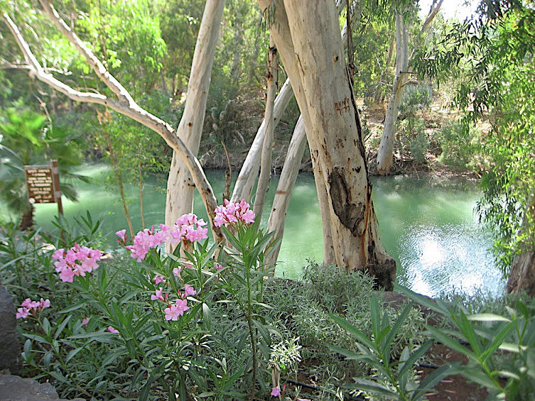 Pink Flowers Photograph - Reflections on the Jordan River Scene #3 by Susan Grunin