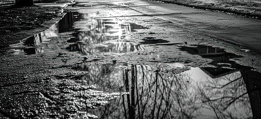 Reflections on the Road Photograph by Bill Posner