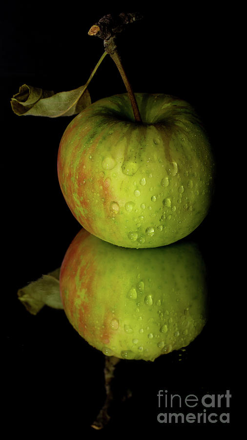 Reflective apple Photograph by Agnes Caruso