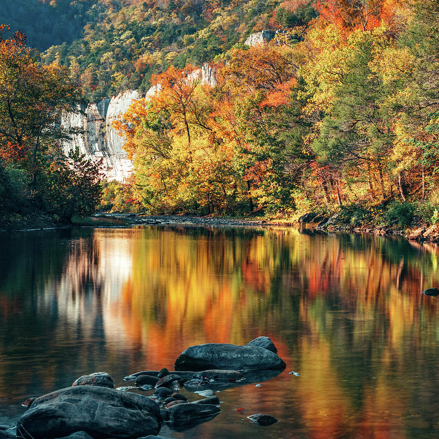 Reflective Autumn At Roark Bluff Photograph