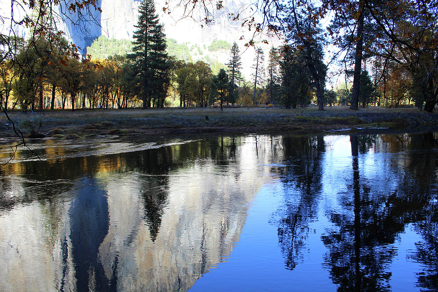 Reflective Merced River Photograph by Eric Forster