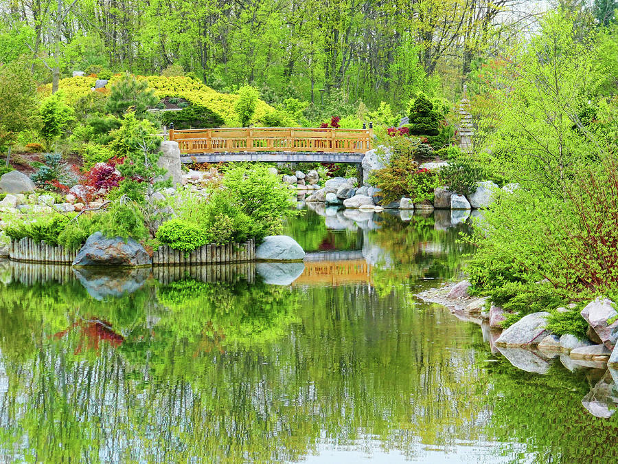 Reflective pond Photograph by Linda Scarborough - Fine Art America