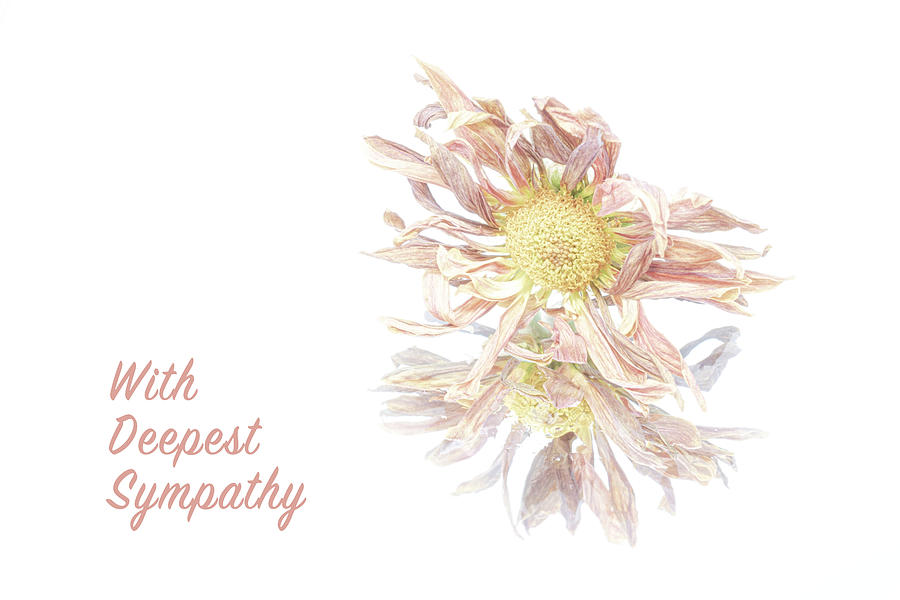Flower Photograph - Reflective Sympathy Card by Sandi Kroll