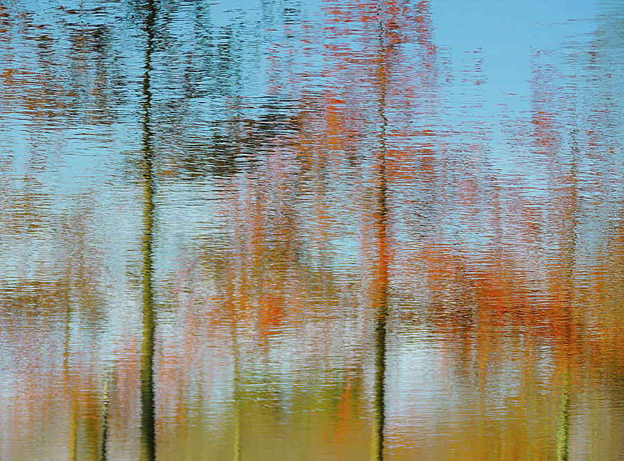 Abstract Photograph - Reflets Dans LEau 1 by Panoramic Images