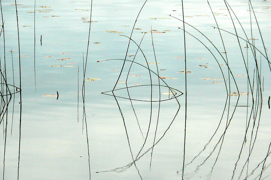 Reflexion deau Digital Art by Dominique Lecomte Reflexion deau Digital Art by Dominique Lecomte