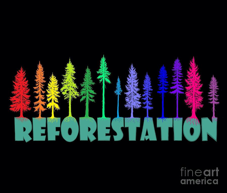 Reforestation Rainbow Digital Art