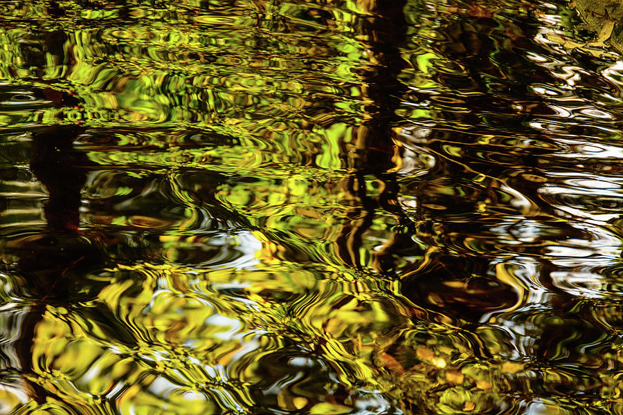 Refracted Water  Photograph by John Harding