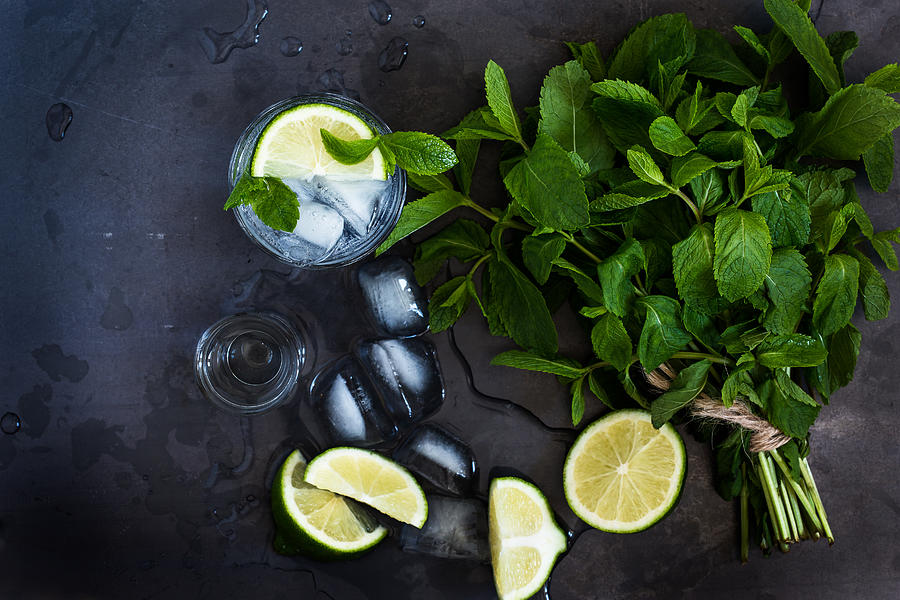 Refreshing summer drink mojito Photograph by Istetiana