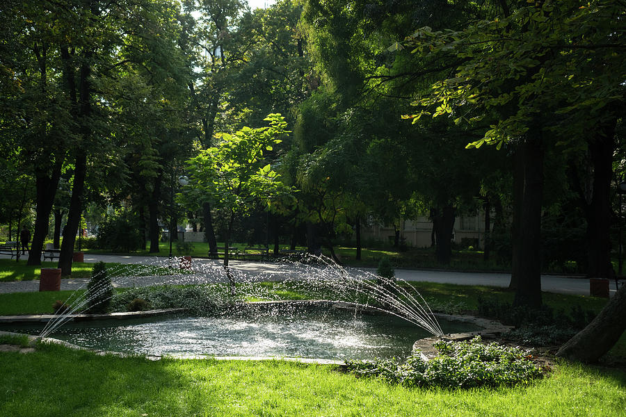 Refreshing Summer - Ebullient Fountain Sparkling in the Sunshine Photograph by Georgia Mizuleva