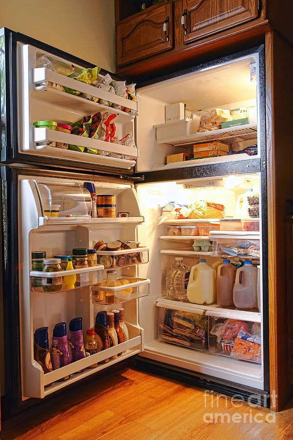 Refrigerator Photograph by Olivier Le Queinec