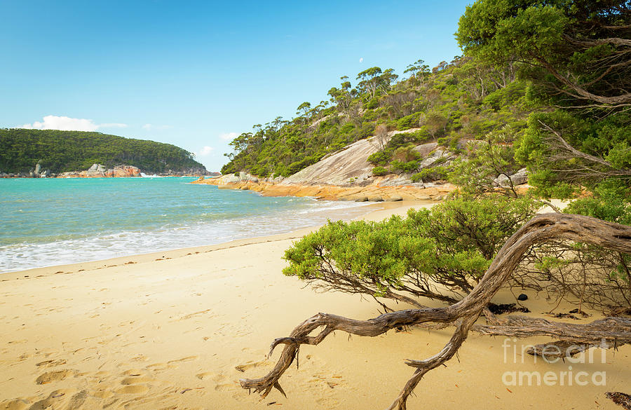 Refuge Cove Beach Photograph by THP Creative Fine Art America
