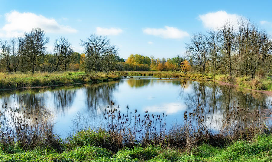 Refuge Reflections Photograph by Angie Vogel - Fine Art America